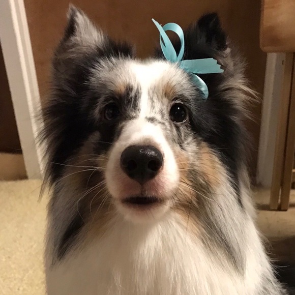 Meet your Posher, Kory - Picture 9 of 16